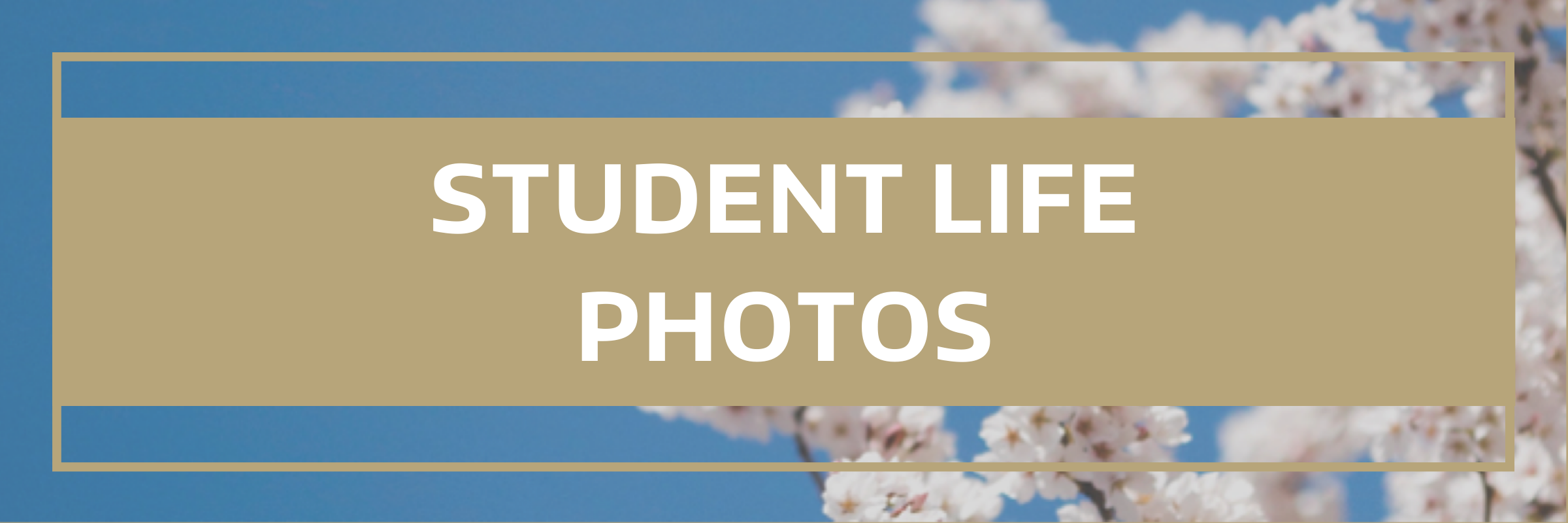 Student Life Photos
