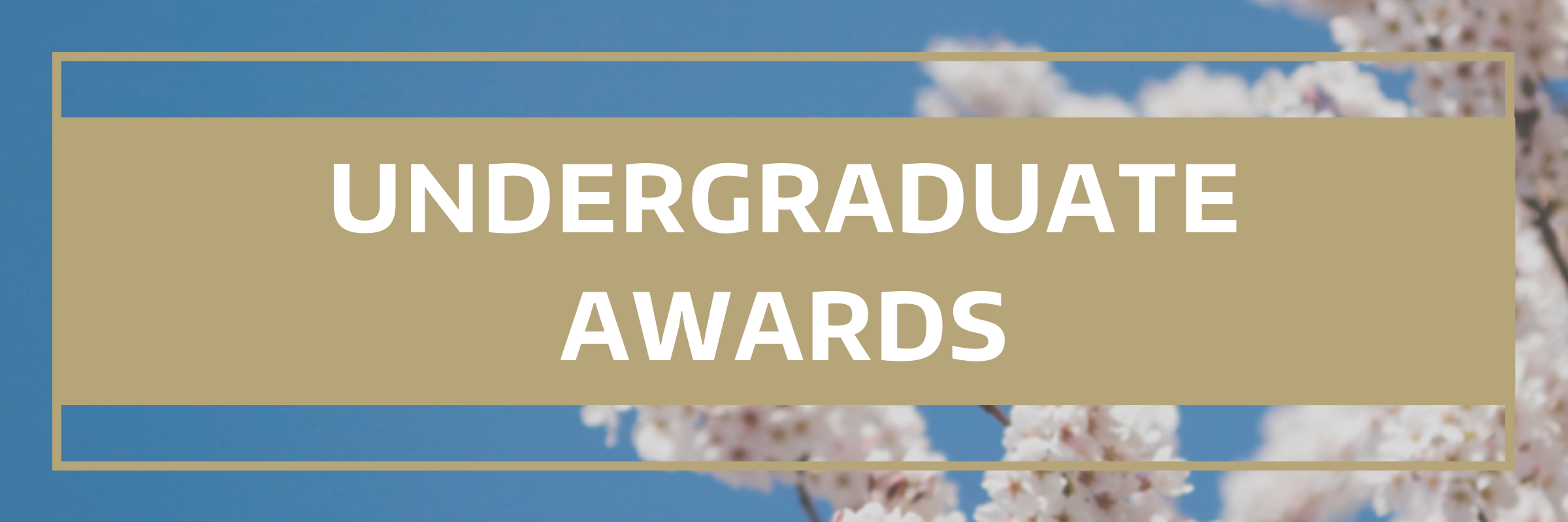 2021_Undergraduate_Awards