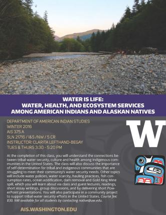 Course Flyer for AIS 375