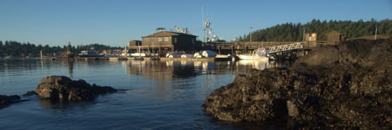 Friday Harbor