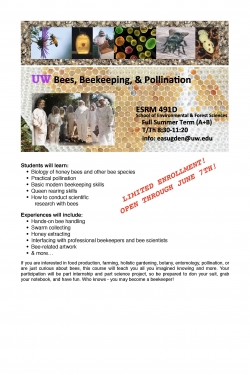 ESRM 491 D Beekeeping Course Flyer