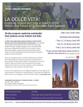 La Dolce Vita Study Abroad