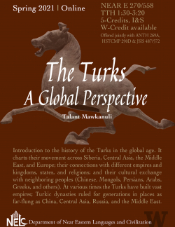 Turks A Global Perspective