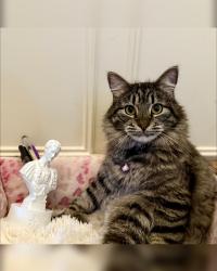 Hugo