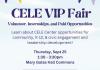 VIP Fair
