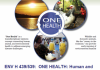 One Health Course Flyer