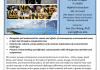 Flyer for Environmental Issues in East Asia Class