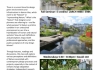 LARCH 498K - Perceptions of Nature in the Dense City - Poster 