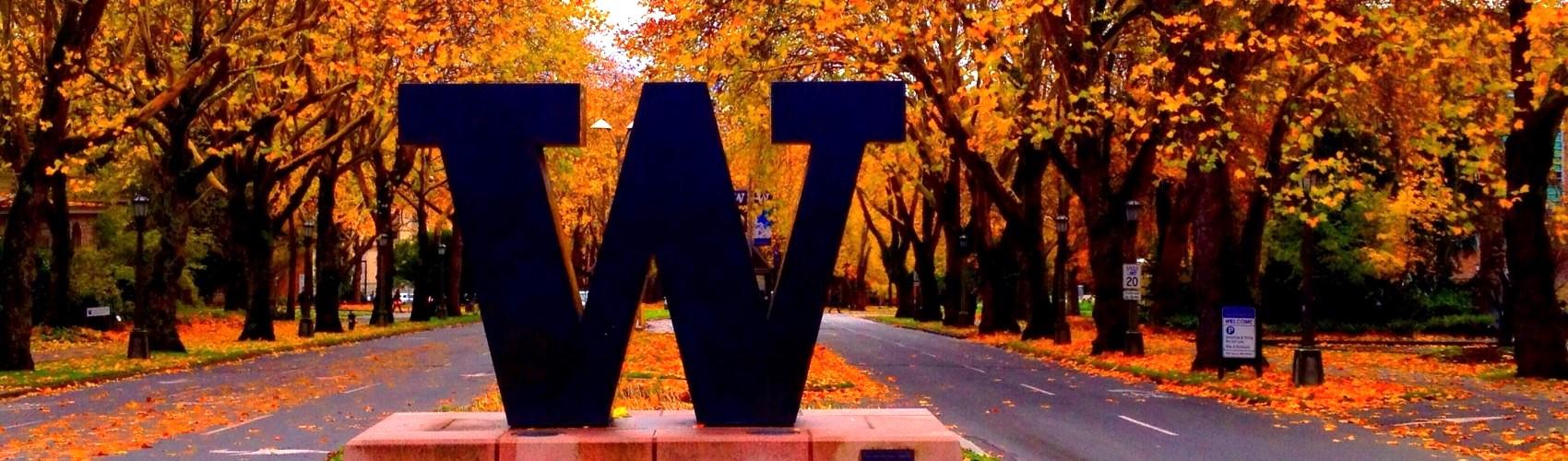 UW campus in autumn