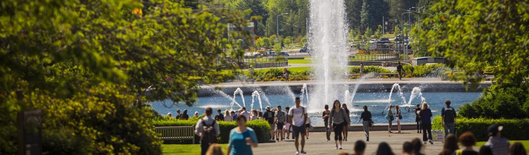Campus fountain in summer