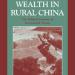 Power and Wealth in Rural China